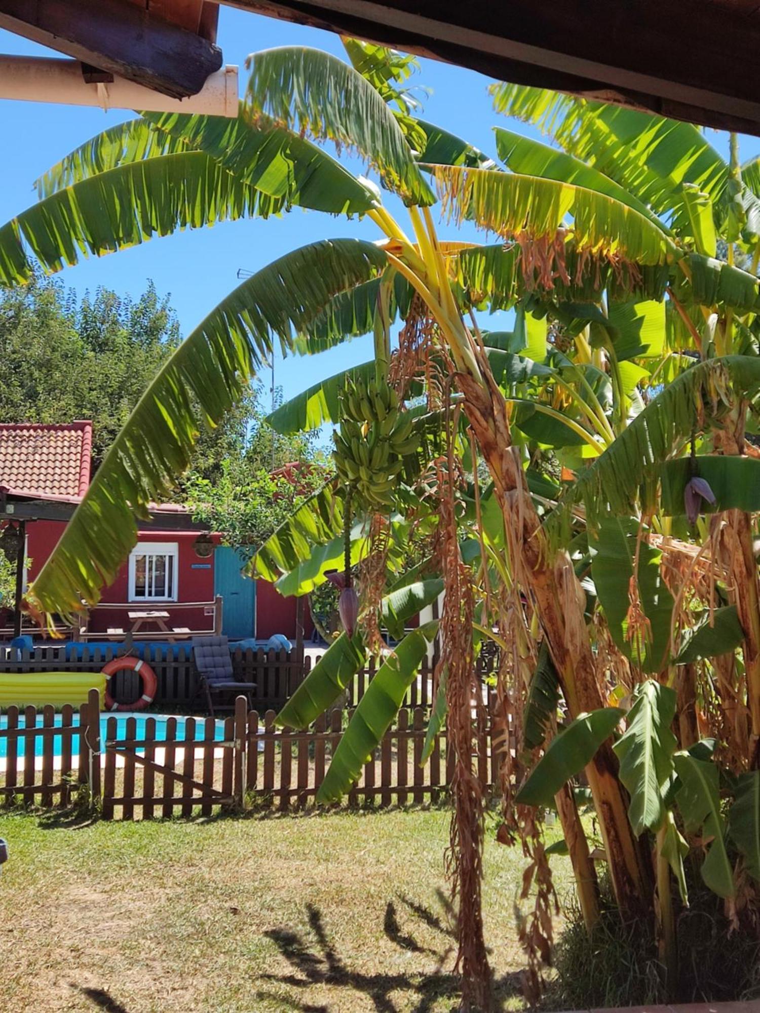 Karma House Konuk evi Casares Dış mekan fotoğraf